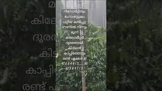 നല്ല വരുമാനമുള്ള രണ്ട് ഏക്കർ കാപ്പിത്തോട്ടം റിസോർട്ടിനും പറ്റും