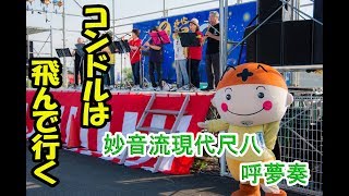 コンドルは飛んで行く　/　妙音流現代尺八：呼夢奏