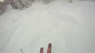 Pow, Trees, Pillows, and Drops = Whistler