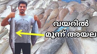 കിടിലൻ ബറക്കുടയും ചൂരയും | Abu Dhabi Fish Market | Mina Fish Market Abu Dhabi | Fish In UAE | Sajeer