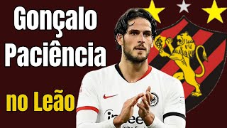 Sport Recife: conheça Gonçalo Paciência, possível novo reforço do Leão