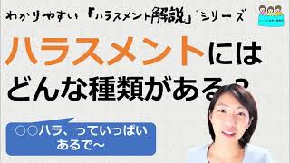 就業規則　ハラスメント解説　ハラスメントにはどんな種類がある？【中小企業向け：わかりやすい就業規則】｜ニースル社労士事務所