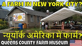 न्यूयॉर्क अमेरिका में फार्म? | Tour of Queens County Farm Museum in New York USA | Hamara America