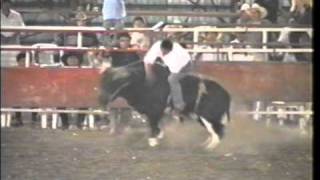 !! Porrazos Del Jaripeo 5 !!  (Puras Montas A Lazo)