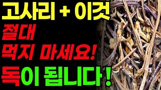 고사리와 절대 함께 먹으면 안 되는 음식, 함께하면 상극인 음식 !?