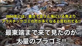 ボルネオ島　コタキナバル修行Part 11  サピ島でカニクイザル探し2‼︎