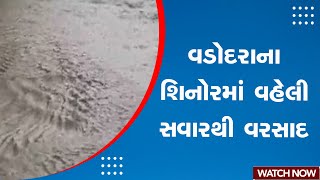 Monsoon in Gujarat | Vadodara ના શિનોરમાં વહેલી સવારથી વરસાદ  | Monsoon 2023