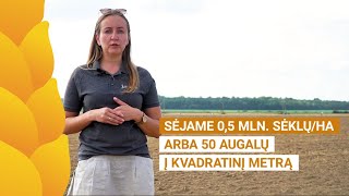 #18-2020. Žieminių rapsų sėja UAB „Barzdų Agroservisas\