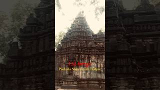 12వ శతాబ్దం Pachala Someswara Temple #shortsfeed #youtubeshorts