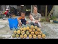 single mother Harvesting pineapples to sell at the market and looking for vegetables to feed pigs