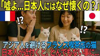 「なぜ日本人にだけ懐くの...」パリの猫カフェでフランス人獣医が絶句した異常な光景とは？【海外の反応】