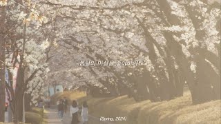 벚꽃놀이 브이로그, 봄나들이, spring vlog,  카이스트 벚꽃