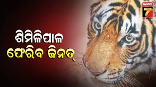 Tigress Zeenat | କଡ଼ା ସୁରକ୍ଷା ବଳୟରେ ଶିମିଳିପାଳ ଆସିବ ବାଘୁଣୀ ଜିନ୍ନତ | PrameyaNews7