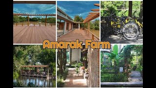 Amarak Farm | កសិដ្ឋាន អមរៈ | Phnom Penh City