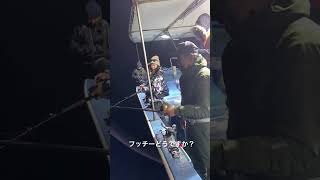 大阪湾でメバル半夜釣り！