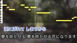 青木美保 / 大輪の花~第二章~【カラオケ】