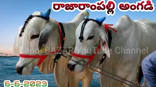 Animals Market In Rajarampalli/Pashuvula Angadi Rajarampalli/Rajarampalli Angadi