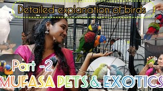 Cockatoo, grey parrot, lori ivalo exotic birds iruka | Mufasa pets chennai | exotic birds & animals