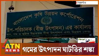 ৫১ জেলায় গম ও ধান বীজ সরবরাহ বন্ধ | Thakurgaon BADC Coruption | ATN News