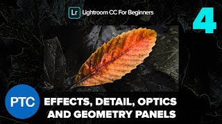 The Effects, Detail, Optics, and Geometry Panels  - Lightroom CC for Beginners FREE Course - 04