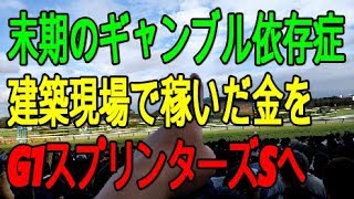 「ゴミクズの僕が少しだけ光り輝いた日」　スプリンターズステークス　ストマックの競馬