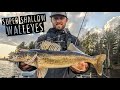 Jigging a TON of SUPER Shallow Walleyes on OPENER!