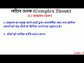 complex permanent tissue xylem u0026 phloem class 9 science tissues hindi जटिल ऊतक जाइलम और फ्लोएम