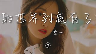 曾一 - 你的世界到底有了誰『你的世界到底有了誰』【動態歌詞Lyrics】