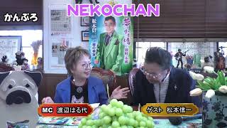 NEKOCHAN#かんぷろ#渡辺はる代#前田彰二＃松本信一#夢のかけ橋#夢の懸け橋#夢のかけ橋～別府・木浦#ゆめのかけはしべっぷもっぽ#日本クラウン#ねこちゃん#ネコちゃん#猫ちゃん#ネコチャン#猫チ