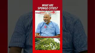 'This method is popular in China' - Muralee Thummarukudy | #SpongeCities #Kochi #Kerala