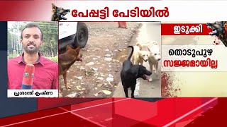 തെരുവ് നായ നിയന്ത്രണം; വന്ധ്യംകരണ കേന്ദ്രങ്ങൾ പ്രവര്‍ത്തന സജ്ജമോ? | Mathrubhumi News Investigation