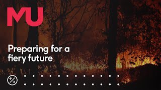 How fires are breathing life into our forests