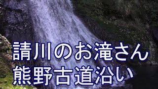 ４K熊野古道、請川のお滝さん＜NHKの朝ドラほんまもん滝行ロケ地＞と滝行。See the waterfall