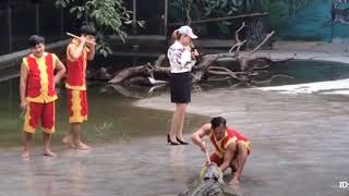 Crocodile Show Failed Video 😂 Funny 😂 - Circulate Adventure