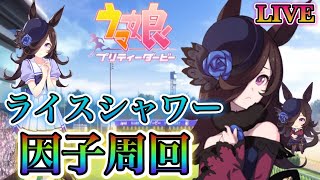 【ウマ娘】【無課金】ライスシャワーA＋狙いながら因子周回やっていきます！(概要欄見てください）