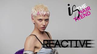 IS - THE HAIR TREND COLLECTION 2024 - REACTIVE TREND by International Hair Style Framesi