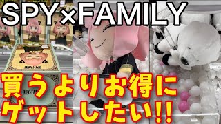 【大人気！？】再販されたアーニャの設定は!? ぬいぐるみにも挑戦します！【スパイファミリー】【橋渡し】【3本アーム】【クレーンゲーム】【SPY×FAMILY 】【ぬいぐるみ】