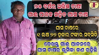 ଦେଖନ୍ତୁ ଗାଈ ପାଳନରେ ଘାସ ଚାଷର ଭୂମିକା କଣ ରହିଛି (୨୫ ବର୍ଷର ଅଭିଜ୍ଞ ଚାଷୀ ). Dairy farming in odisha.