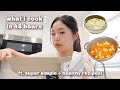 👩🏻‍🍳 WHAT I *COOK* for 48 HOURS: easy korean recipes, surprising my bf 🍲