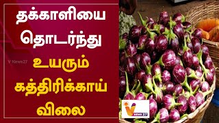 தக்காளியை தொடர்ந்து உயரும் கத்திரிக்காய் விலை | Brinjal Price Hike |