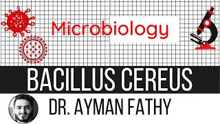 Bacillus cereus - USMLE Step 1 Microbiology - Dr. Ayman Fathy