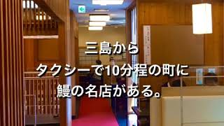 三島で鰻を食べるなら「うな繁」