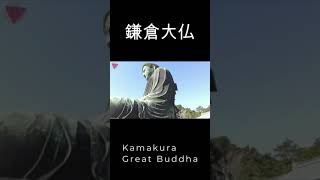 「鎌倉大仏」1周した！鎌倉 Kamakura Great Buddha #shorts