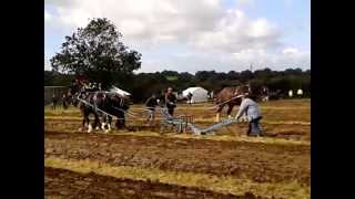 Horse ploughing from the 2012 Brailsford Ploughing Match 03