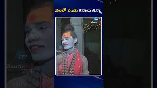 Aghori Naga Sadhu Hot Comments | నెలలో రెండు శవాలు తిన్నా | ZEE Telugu News