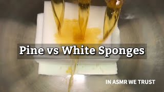 ASMR 🌲 3 Bottles of Domestos Pine x White Sponges