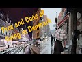 Disadvantages of Living in Denmark/ Asian family in Denmark