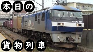 【本日の貨物列車】No.1055　2023,9,26　第1071番列車　Today‘s freight train