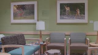 Take a Tour of American Family Children's Hospital