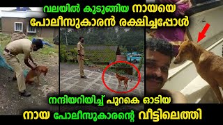 നായയെ പോലീസുകാരൻ രക്ഷിച്ച ശേഷം നായ വണ്ടിക്ക്  പുറകെ ഓടി പോലീസുദ്യോഗസ്ഥന്റെ വീട്ടിലെത്തി